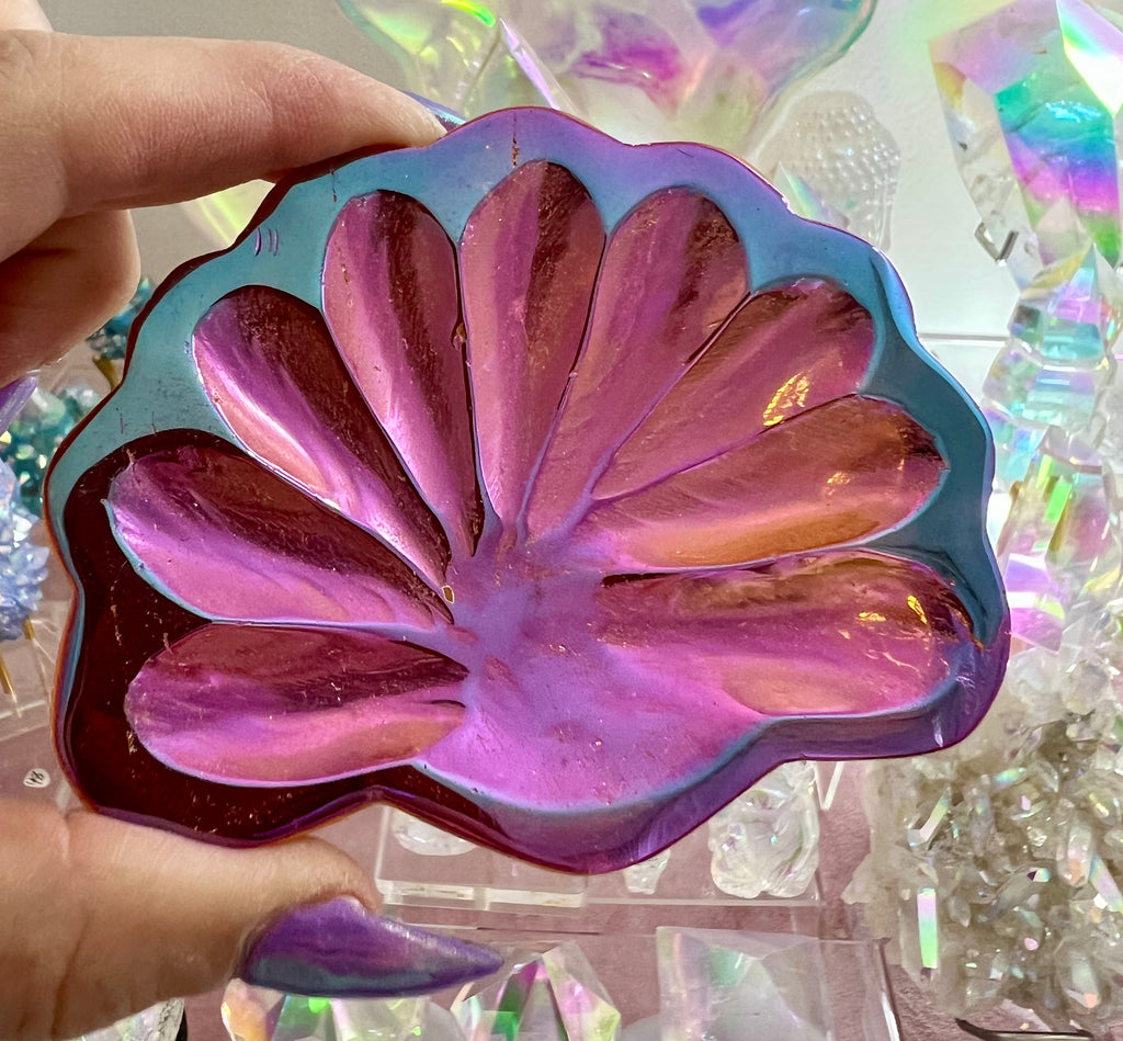 Beautiful sunset seashell bowl, large
